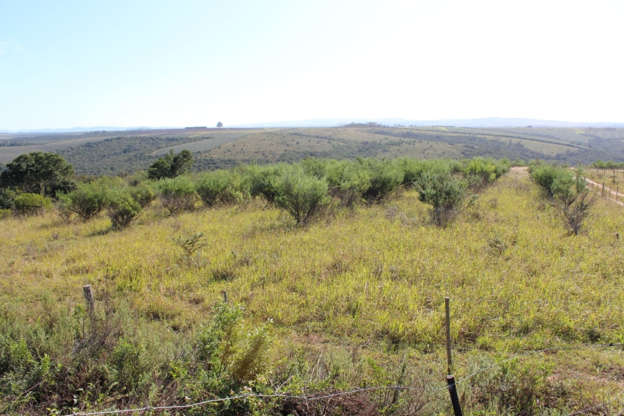 3 Bedroom Property for Sale in Bathurst Eastern Cape